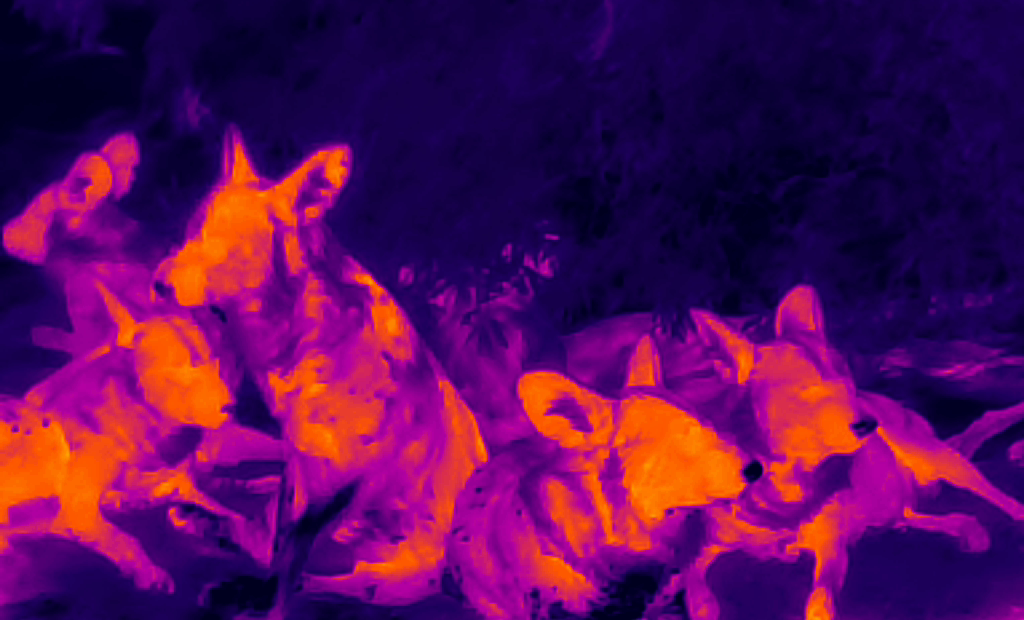 UTx210W Compact Economy Thermal Monocular