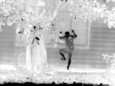 UTx210W Compact Economy Thermal Monocular