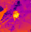 UTx625M Hi-Res Long-Distance Thermal Monocular