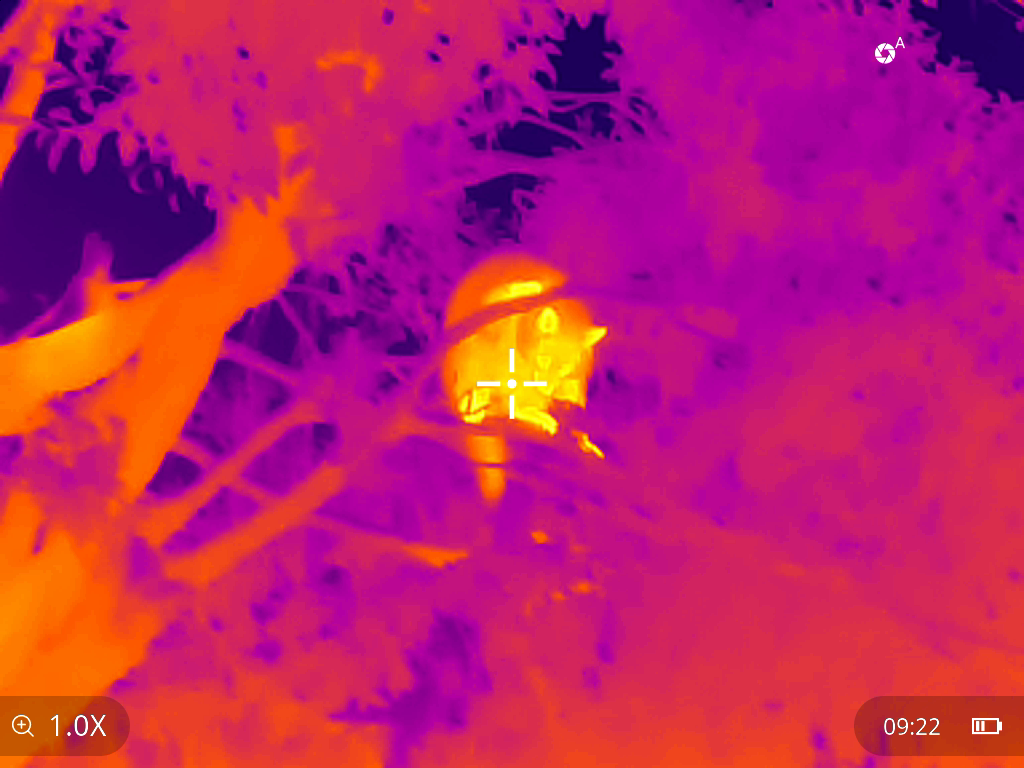 UTx625M Hi-Res Long-Distance Thermal Monocular